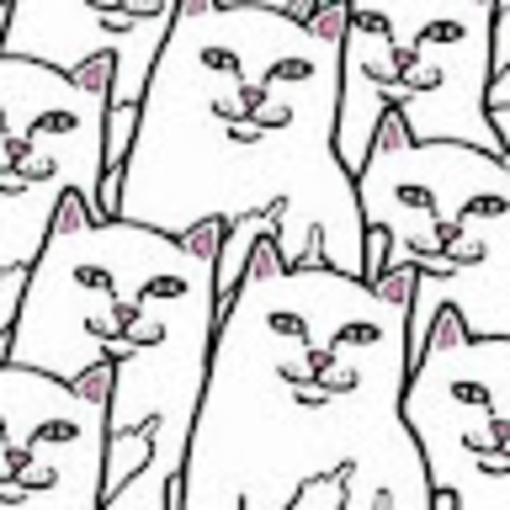 Meet your Posher, Ƭӭяmiпλƭσ